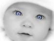 bébé